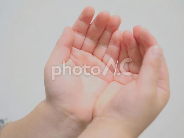 何かを掬う子供の手 子供,幼い,子供の手の写真素材