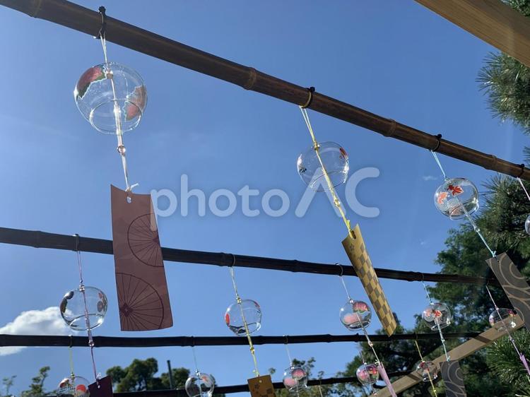 たくさんの風鈴 風鈴,ガラス,ふうりんの写真素材
