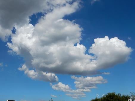【風景写真】夏空 【風景写真】夏空の写真