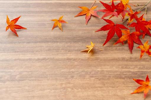 天然の紅葉したモミジの葉の木目フレーム 紅葉,秋,木目の写真素材