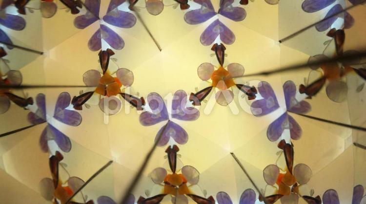 天然石の万華鏡17　パープルハート 万華鏡,鏡,模様の写真素材