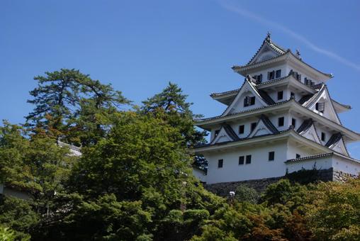 郡上八幡城 郡上八幡城,郡上八幡,城の写真素材