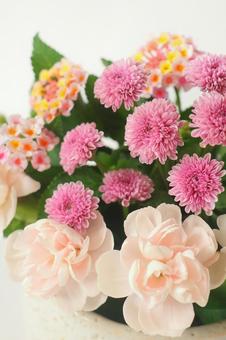 フラワーアレンジメント 洋菊・ランタナ フラワーアレンジメント 洋菊・ランタナ 花,フラワーアレンジメント,洋菊の写真素材