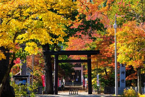 神社と紅葉の写真