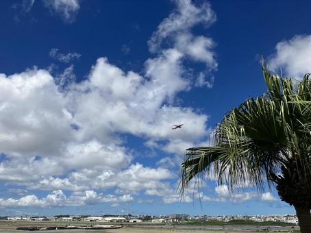 沖縄の景色 沖縄の景色の写真