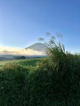 秋が近づく草原から見る富士山 秋が近づく草原から見る富士山の写真