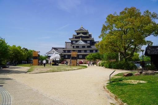 岡山城　340 岡山城,烏城,金烏城の写真素材