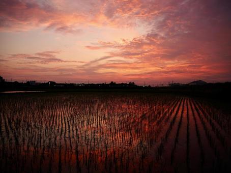 Evening Scenery, JPG Evening Scenery, JPG