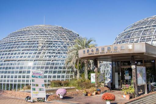 東谷山フルーツパーク 世界の熱帯果樹温室 東谷山フルーツパーク,世界の熱帯果樹温室,名古屋市の写真素材