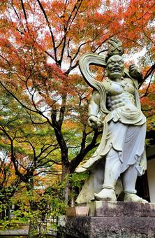 呑山観音寺　 福岡県,呑山観音寺,紅葉の写真素材