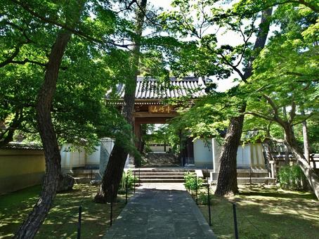 豊島山道場寺山門 豊島山道場寺山門の写真