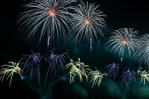 花火 花火 夜空,夜,八月の写真素材