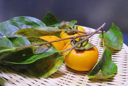 秋の味覚の甘柿 甘柿,柿,果実の写真素材