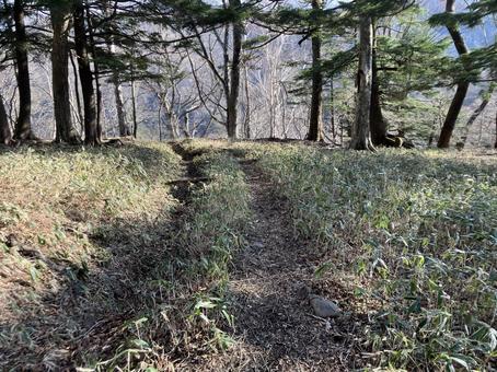 Photo, mt. sukai, climbing, trekking, 