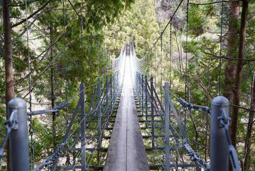 吊橋 吊橋の写真