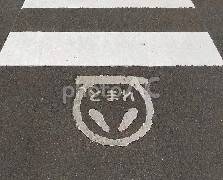 横断歩道と止まれ　アスファルトと白線 横断歩道,止まれ,停止の写真素材