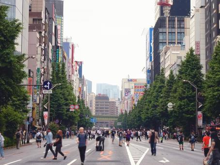 秋葉原の歩行者天国(中央通り) 秋葉原の歩行者天国(中央通り)の写真