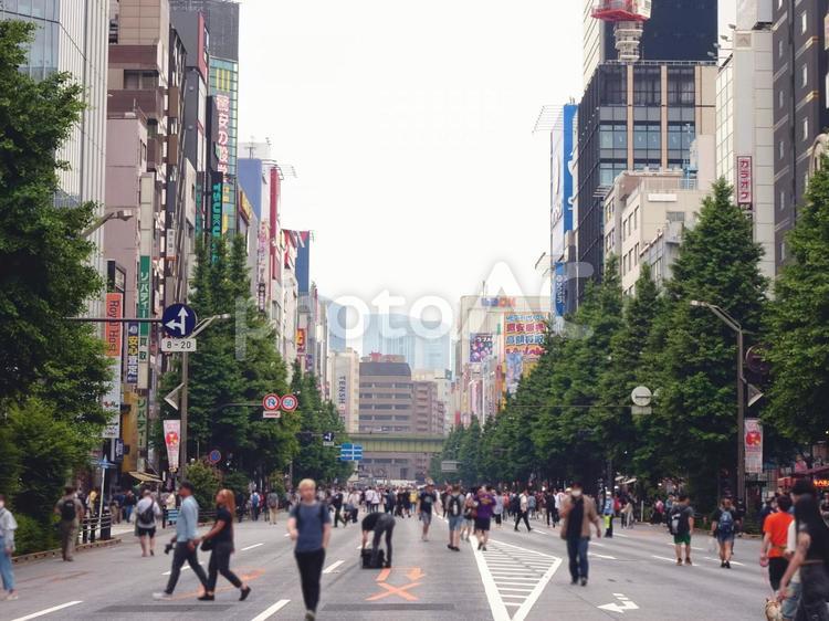 秋葉原の歩行者天国（中央通り） 秋葉原,街並み,歩行者天国の写真素材