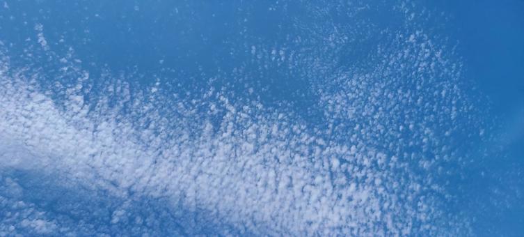 羊空 羊空 空,青空,ひつじ雲の写真素材