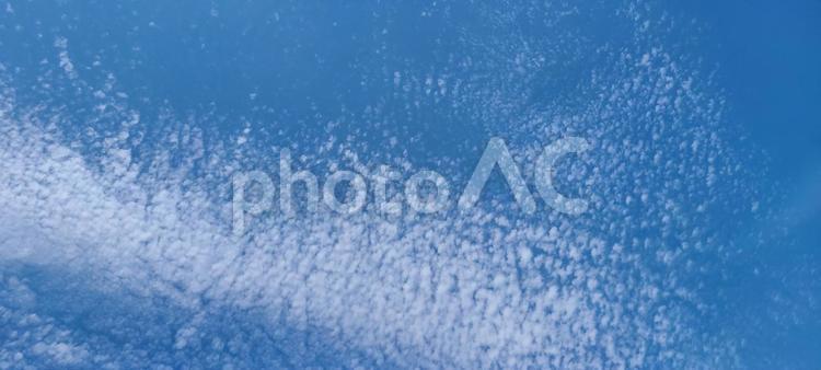 羊空 空,青空,ひつじ雲の写真素材