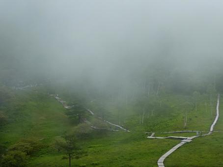 Misty Marsh, JPG
