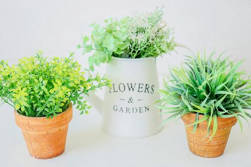 Heal with foliage plants Heal with foliage plants