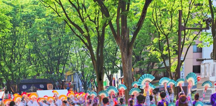 仙台青葉まつり 仙台,踊り,祭りの写真素材
