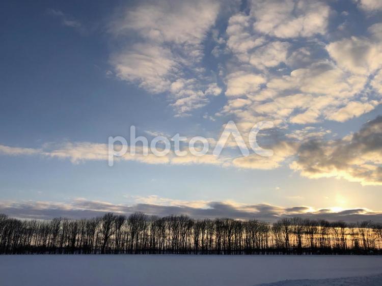 夕暮れの雪原 空,冬,冬の空の写真素材