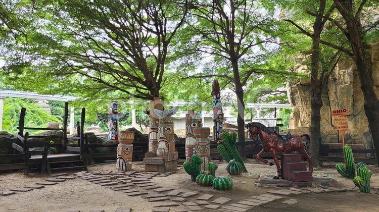 穏やかな公園の景色 公園,木,自然の写真素材