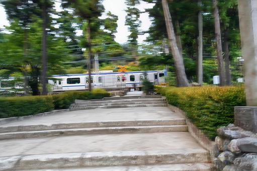 横須賀線 北鎌倉 流し撮り 横須賀線 北鎌倉 流し撮り 横須賀線,北鎌倉,jr東日本の写真素材