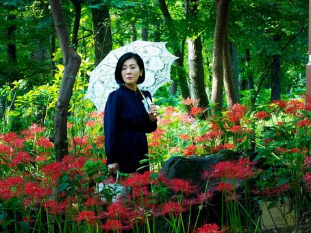 40:彼岸花を静かに見つめる女性 40:彼岸花を静かに見つめる女性 彼岸花,ミステリアス,悲しげの写真素材