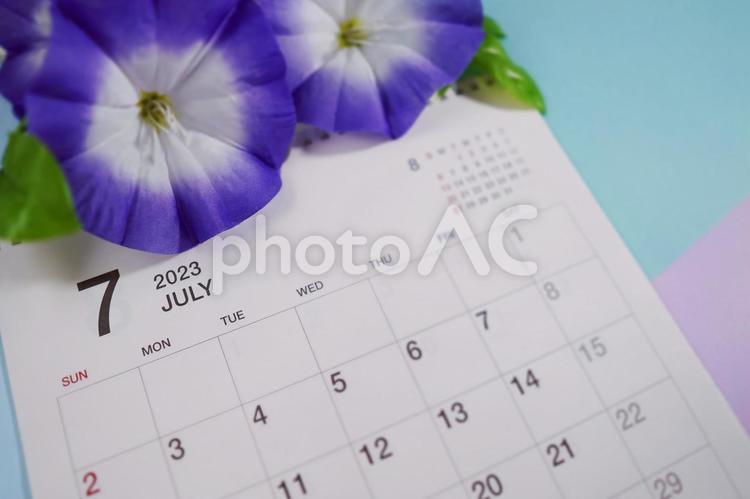 2023年7月のカレンダー、大輪の朝顔２ 7月,カレンダー,2023年の写真素材