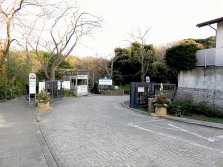 年末、門松を飾り終えた鎌倉中央公園の表門 鎌倉中央公園,鎌倉市,神奈川県の写真素材