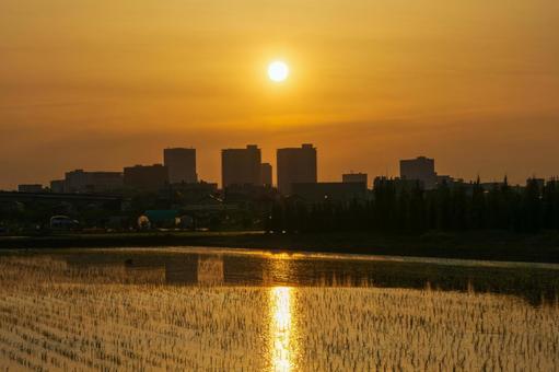 オレンジ色に包まれたさいたま新都心 オレンジ色に包まれたさいたま新都心 夕焼け,ゴールデンアワー,マジックアワーの写真素材