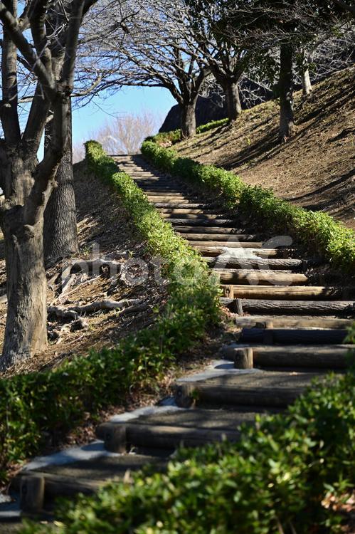 ぼうさいの丘公園 公園,ぼうさいの丘公園,厚木市の写真素材