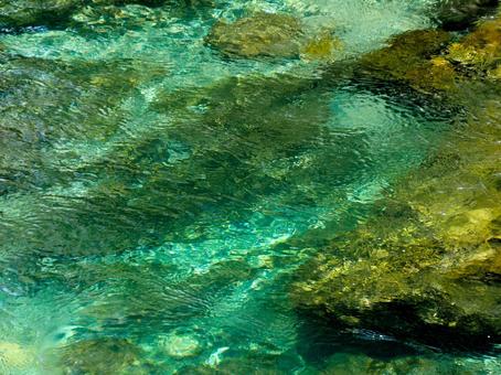 渓流_008 渓流_008の写真