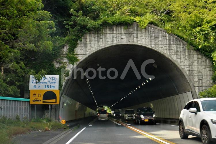 ことのままトンネル　春 トンネル,長さ,点灯の写真素材