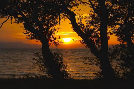 近江湖の辺の道から見る夕日④ 滋賀県長浜 近江湖の辺の道から見る夕日④ 滋賀県長浜 夕日,夕陽,夕景の写真素材