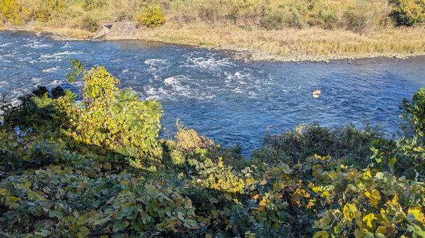 川の流れ 川の流れ,川,河川の写真素材