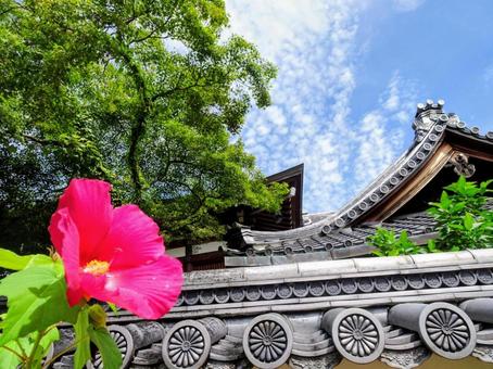 中山寺の花と建物 中山寺の花と建物の写真