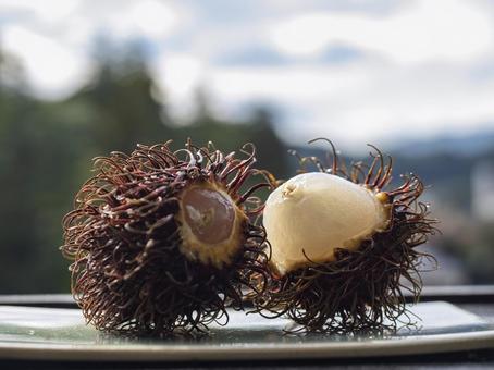 光をまとうランブータン ランブータン,果物,南国の写真素材