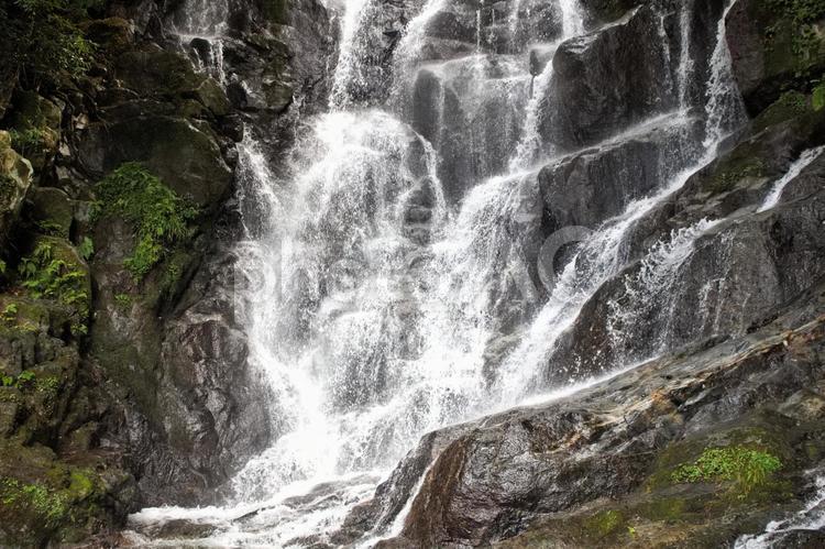 細く美しい糸：白糸の滝 風景,岩,川の写真素材