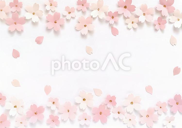 桜の背景　高画質化 桜,桜背景,桜フレームの写真素材