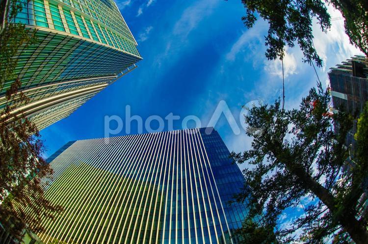 横浜みなとみらいのオフィス街と秋空 横浜,みなとみらい,ビジネス街の写真素材