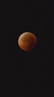 2025年皆既月食 2025年皆既月食の写真