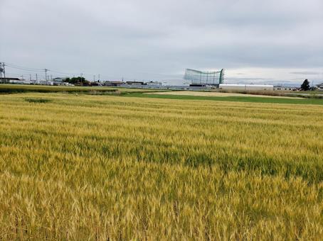 前橋駅周辺より 自然,風景,前橋の写真素材