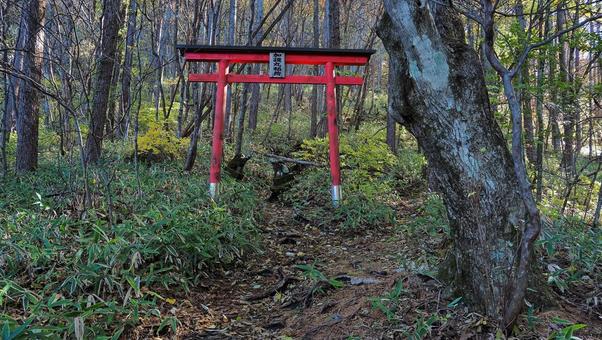 加護丸稲荷鳥居 鳥居,アウトドア,登山の写真素材
