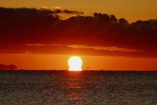 だるま朝日 初日の出,だるま朝日,日の出の写真素材