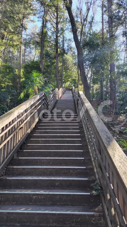 長い階段 階段,自然,景色の写真素材