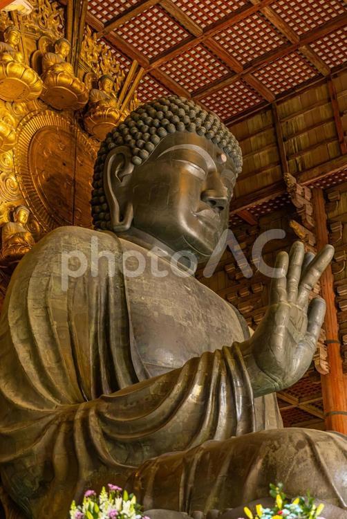 奈良公園東大寺　奈良の大仏　 奈良公園,東大寺,大仏の写真素材
